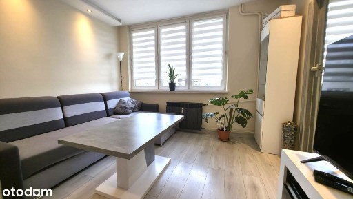 Piękne 3 Pok! Po Remoncie! Doinwestowane! Balkon!