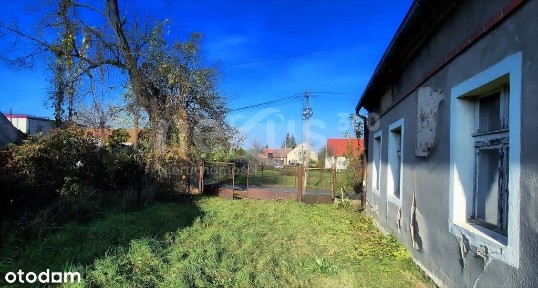 Dom do remontu z ogromną działką