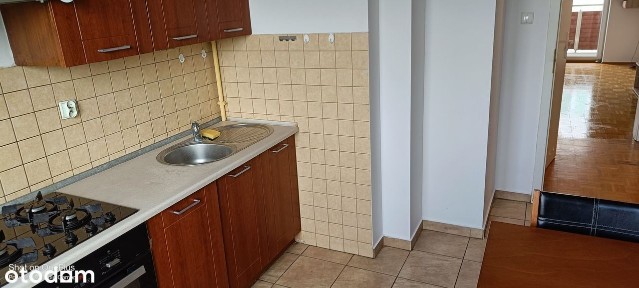 ul. Wilhelminy Iwanowskiej, Podgórz, Toruń, kujawsko-pomorskie