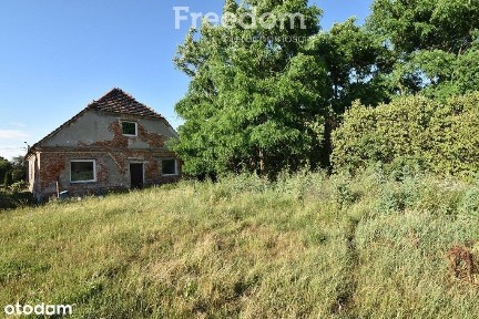 Wolnostojący dom - 240 m2, gm. Lewin Brzeski