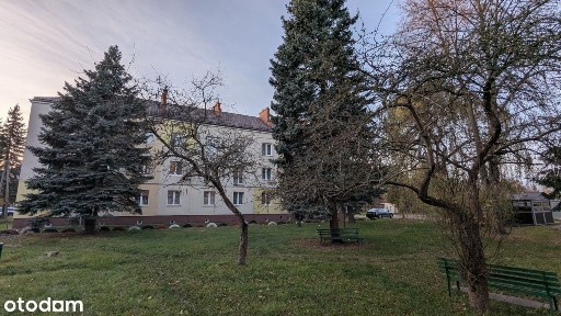 al. Lipowe, Pionki, radomski, mazowieckie