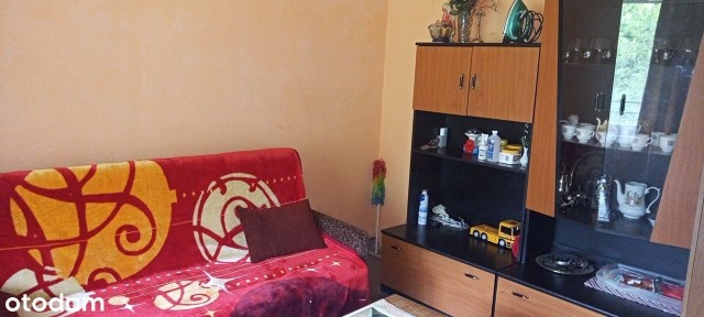 Dom na sprzedaż z dużą działką i piwnicą