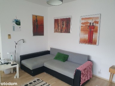 Kawalerka 38m2 - Plewiska - parter