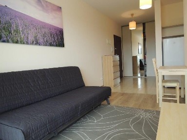 Na wynajem przytulne mieszkanie 450 m od metra