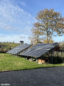 Dom w Wełtyniu na sprzedaż