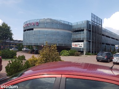 Lokale al. Pokoju 78, bezpośrednio