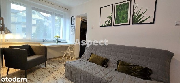 Czerwionka-Leszczyny, rybnicki, śląskie