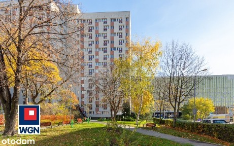 Śródmieście, Katowice, śląskie