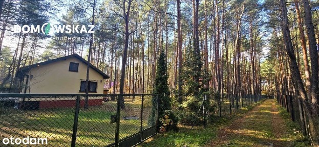 Dom letniskowy na leśnej działce