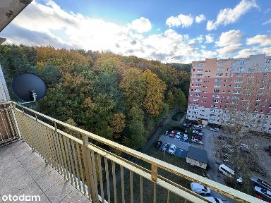 ul. Kcyńska, Cisowa, Gdynia, pomorskie