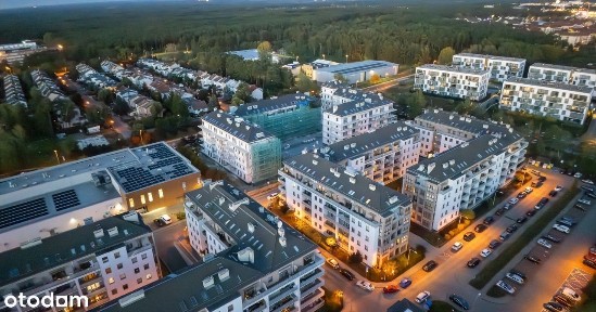 Centrum, Zielona Góra, lubuskie