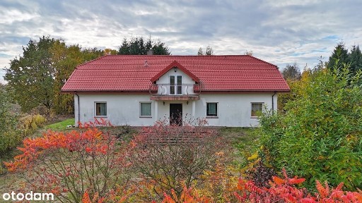 Kamienica, Załuski, płoński, mazowieckie