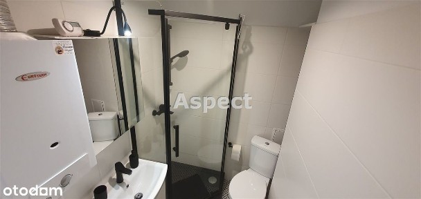 Śródmieście, Rybnik, śląskie