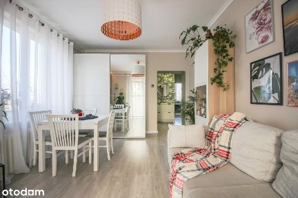 Pabianice, pabianicki, łódzkie