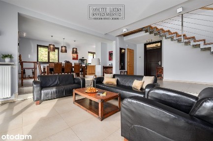 Wzgórze Dylewskie| Siedlisko| Las I Natura|Premium