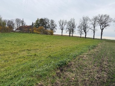 Budynek mieszkalny z działką 0,7ha Mnichowo obok Reszla