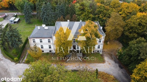 Pałac eklektyczny,zabytkowy park,stawy, do remontu