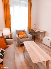 ul. ks. Konstantego Damrota, Ołbin, Śródmieście, Wrocław, dolnośląskie