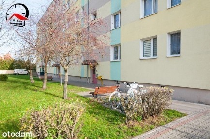 Czynsz: 500 zł! W centrum. Bezpiecznie, spokojnie.