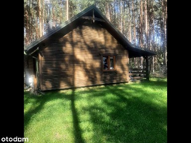 Całoroczny dom drewniany z widokiem na las