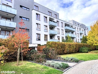 ul. Sejmu Czteroletniego, Błonia Wilanowskie, Wilanów, Warszawa, mazowieckie