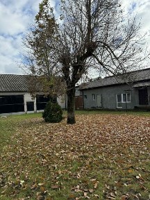 Duże siedlisko koło Ostrołęki ( Kruki)