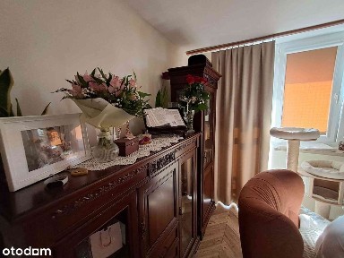 Wynajmę mieszkanie w Sosnowcu Śródmieście