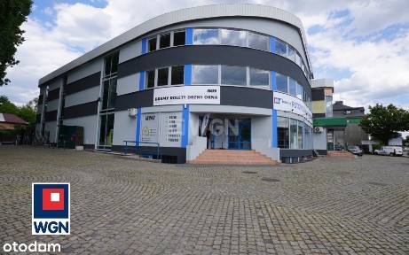 Lokal użytkowy, 390 m², Piotrków Trybunalski