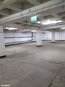 Ptasia, Pogoń, Sosnowiec, śląskie