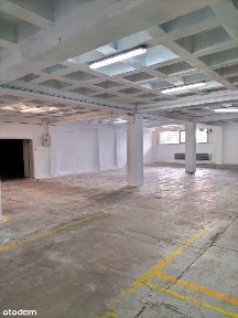 ul. Ptasia, Pogoń, Sosnowiec, śląskie