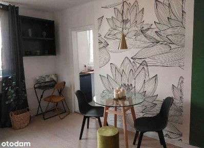 ul. Krzemieniecka, Zdrowie, Polesie, Łódź, łódzkie