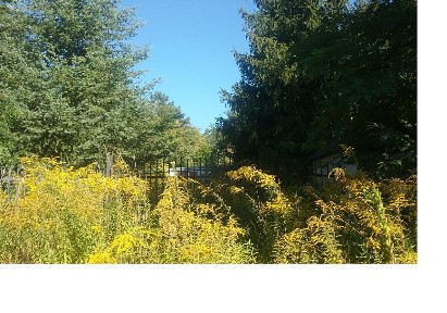 Dom: Graniczna, Ustronie 95-073