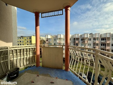 Wynajmę mieszkanie przy Plazie, idealne dla studenta