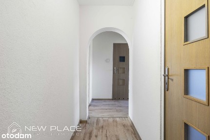 2 pokoje przy Pks, piwnica, komórka lokatorska