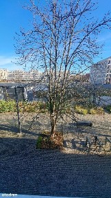 Plac Nowy Targ, Stare Miasto, Wrocław, dolnośląskie