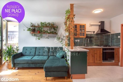 Widok na Odrę, cisza w sercu Wrocławia.