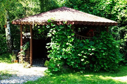 Domek letniskowy nad jeziorem Ciemino