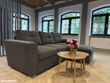 Przestronne mieszkanie w samym centrum miasta przy parku