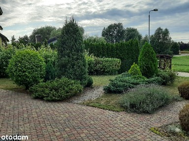 Dom z zadbanym słonecznym ogrodem bezpośrednio od właściciela