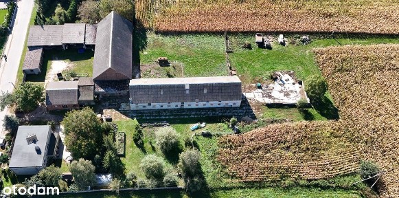 Siedlisko na sprzedaż