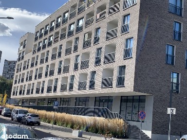 Strzelecka 8B, centrum, parter, duże witryny