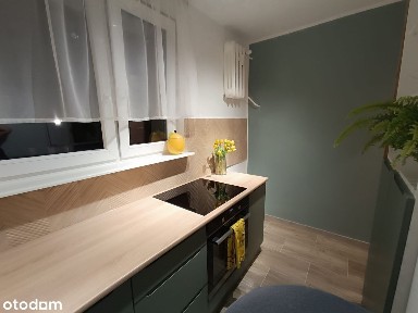 Sprzedam przytulną, słoneczną kawalerkę po generalnym remoncie