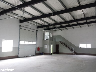 Nowa hala 241 m w Redzie Pieleszewo