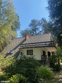 Wilga niebywała okazja