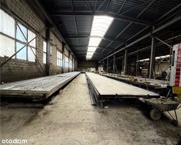 ul. Trzebawska, Stęszew, poznański, wielkopolskie