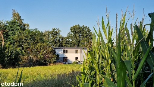 OSTATNIE BEZCZYNSZOWE Mieszkanie 3 pok., ogród, parking, parter+piętro