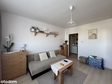 Atrakcyjna garsoniera przy alei Majowej