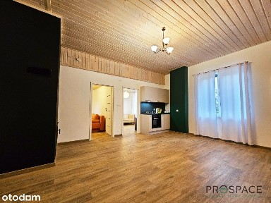 Dom po generalnym remoncie, przy strumieniu, las