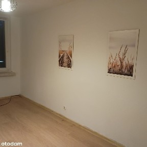 M2, Sikornik, Gliwice, ze zwierzętami, do własnej aranżacji