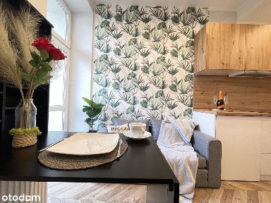 Kawalerka z balkonem w centrum Gliwic